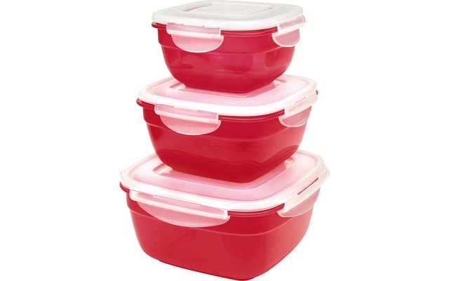 Lock &amp; Lock Sealed Containers Set of 3