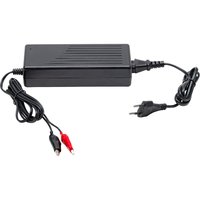 Cargador para batería de vellón