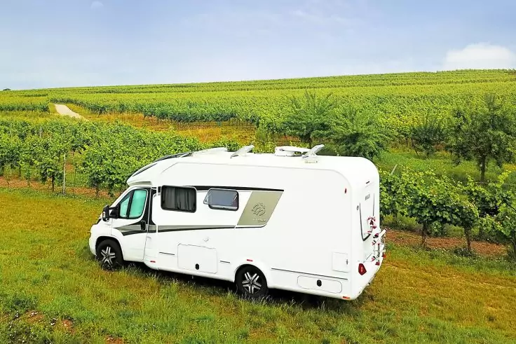 Weißes Wohnmobil auf grasbewachsenem Hang neben Reihen von Weinreben, blauer Himmel mit Wolken