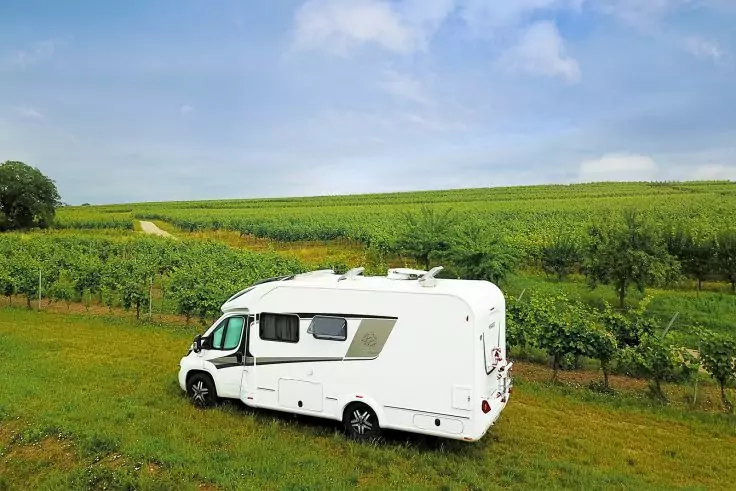 Weißes Wohnmobil auf grasigem Feld neben Reihen von Reben; hügelige Weinberge und bewölkter Himmel im Hintergrund