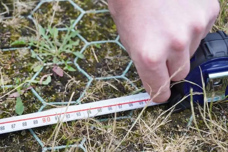 Hand h&auml;lt ein ausgezogenes Ma&szlig;band &uuml;ber sechseckigem Drahtgeflecht auf grasigem, moosigem Boden