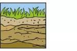 Illustration eines Bodenschnitts mit Gras oben und mehreren Erdschichten darunter