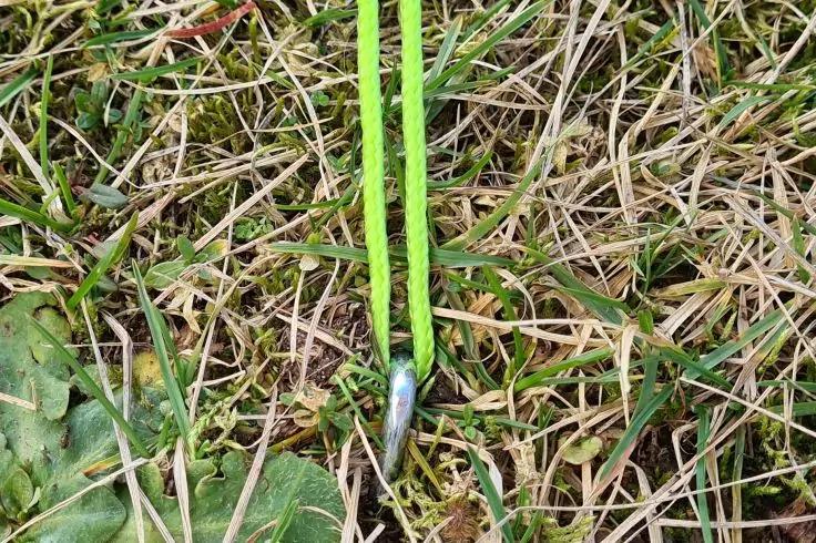 Zwei neon-gr&uuml;ne Schn&uuml;re liegen nebeneinander; unten ein silberner Metallhaken zwischen trockenem und gr&uuml;nem Gras
