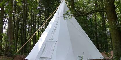 Wei&szlig;es Tipi mit geschlossener T&uuml;r&ouml;ffnung, aufgestellt in einem Wald mit hohen B&auml;umen und Laubboden