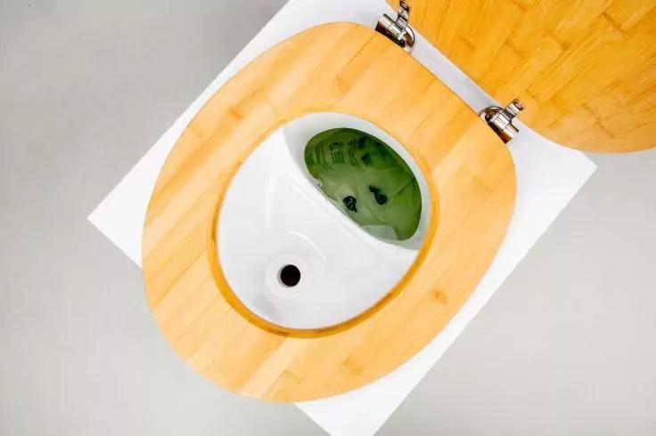 Obenansicht einer offenen Toilette mit hellem Holzsitz und gr&uuml;nem Wasser im Becken
