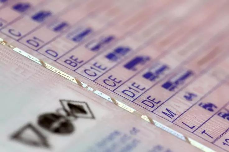 Nahaufnahme eines rosafarbenen, laminierten Dokuments mit aufgelisteten Fahrzeugklassen (z. B. BE, C1, CE), kleinen Symbolen und einem holografischen Streifen