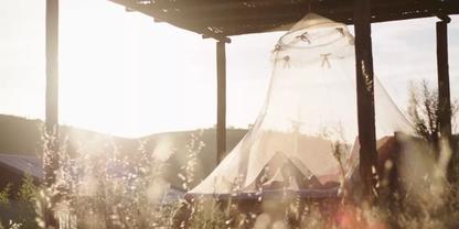 Transparentes Netz h&auml;ngt unter einem offenen Holzdach &uuml;ber einer niedrigen rechteckigen Liege; im Vordergrund unscharfes Gras, helle Sonne im Hintergrund