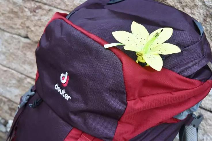 Dunkelvioletter und roter Rucksack mit einer gelben Blume am oberen Fach, Steinmauer im Hintergrund