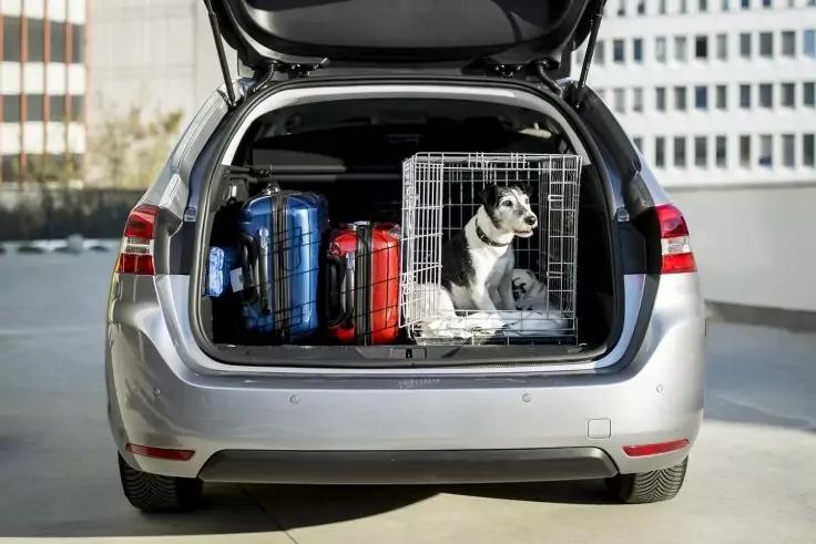 Offener Kofferraum eines silbernen Autos mit einem Metallk&auml;fig, in dem ein wei&szlig;-schwarzer Hund sitzt; daneben zwei Reisekoffer (blau und rot) und eine Tasche; Geb&auml;ude im Hintergrund