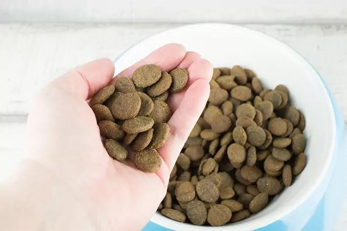 Hand h&auml;lt braune, runde Pellets &uuml;ber einer wei&szlig;en Sch&uuml;ssel mit blauem Rand, die mit denselben Pellets gef&uuml;llt ist