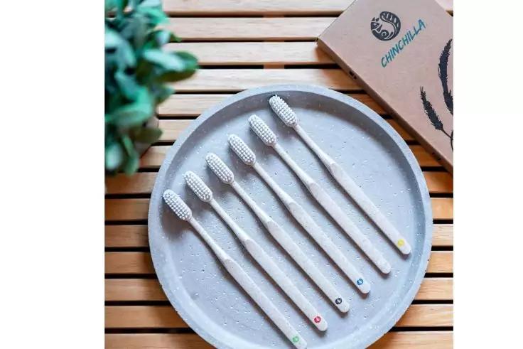 Sechs weiße Zahnbürsten mit farbigen Punkten auf den Griffen auf einem runden grauen Teller; Teller auf einer Holzlattenoberfläche, oben links Pflanzenblätter, oben rechts ein Pappkarton mit Logo