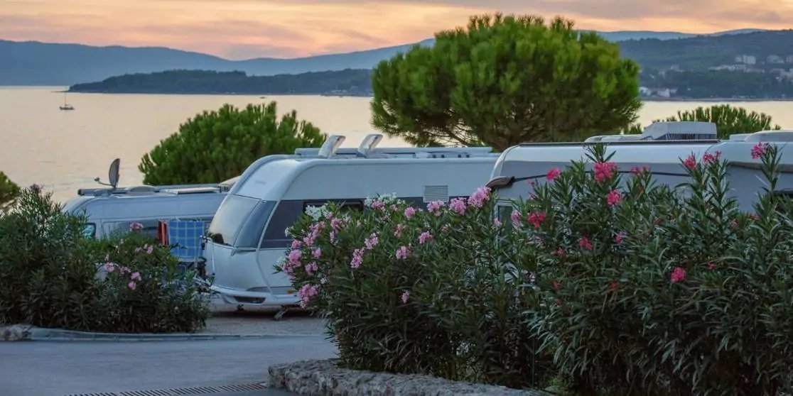 Mehrere wei&szlig;e Wohnmobile hinter rosa bl&uuml;henden Oleanderstr&auml;uchern an einem Ufer; Meer, H&uuml;gel und Abendhimmel im Hintergrund