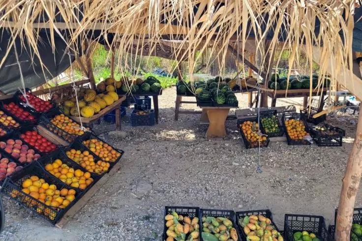 Verkaufsstand unter Strohdach mit Kunststoffkisten voller Orangen, Zitronen, Tomaten und anderem Obst und Gemüse auf kiesigem Boden