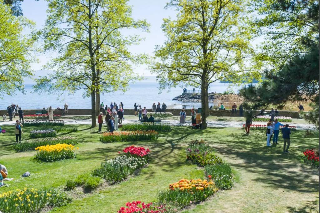 Parkwiese mit bunten Blumenbeeten und B&auml;umen, Gehweg mit Personen am Ufer und ein kurzer Steg im Hintergrund
