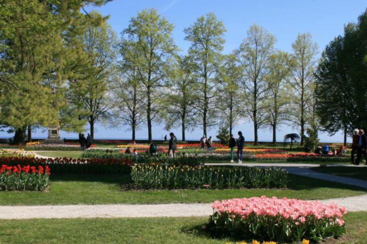 Wiese und Blumenbeete mit roten und rosa Tulpen, Kiesweg, Reihe hoher Laubb&auml;ume, See im Hintergrund, Menschen, die stehen und gehen