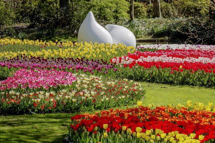 Bunte Tulpenbeete auf Rasen, dahinter zwei wei&szlig;e geschwungene Formen und B&auml;ume