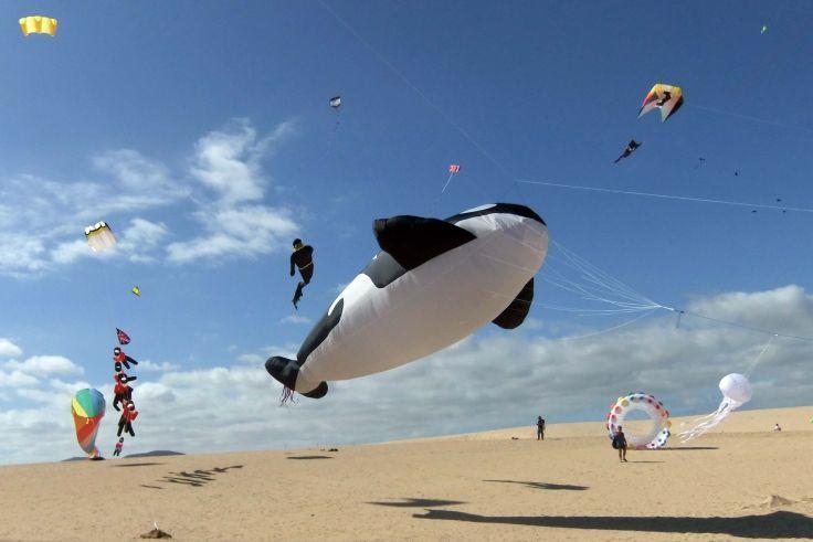 Gro&szlig;er schwarz-wei&szlig;er orkaf&ouml;rmiger Lenkdrachen &uuml;ber sandigem Strand; mehrere bunte Drachen, vereinzelte Personen, blauer Himmel mit Wolken