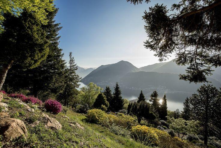 H&uuml;gel mit bl&uuml;henden Str&auml;uchern und Felsen im Vordergrund, B&auml;ume am Bildrand, See in der Mitte mit Sonnenreflex, Berge im Hintergrund, klarer Himmel