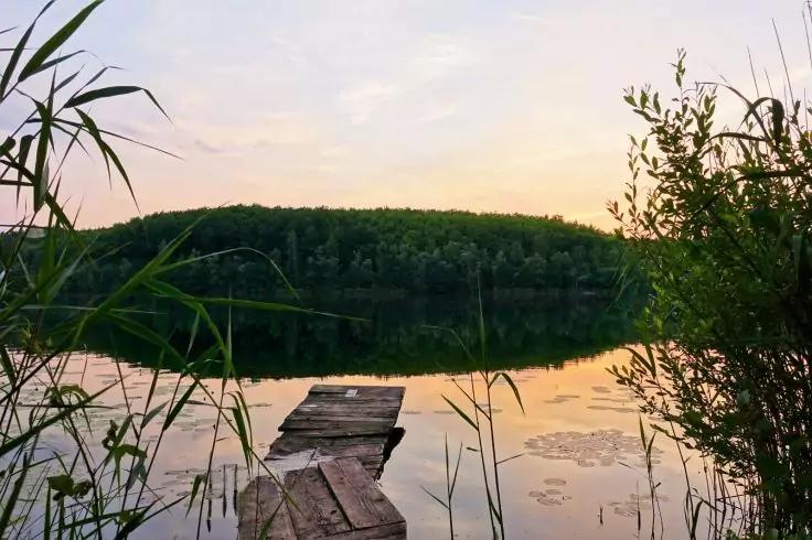 Verwitterter Holzsteg ragt in ruhiges Seeuferwasser; dichtes Baumband in der Ferne; Schilf und B&uuml;sche im Vordergrund; heller Himmel mit rosa- und gelbgemischten T&ouml;nen