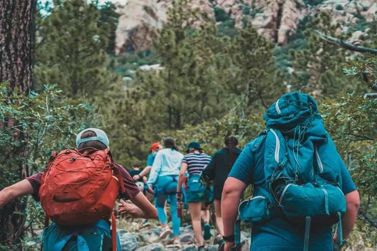 Mehrere Wanderer mit Rucks&auml;cken gehen auf einem felsigen Waldweg, von hinten aufgenommen