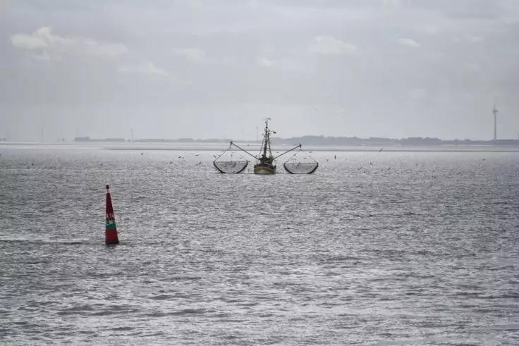 Fischerboot mit ausgefahrenen Fangnetzen auf dem Meer; links vorn rote und gr&uuml;ne Boje; im Hintergrund flache K&uuml;ste und ein Turm