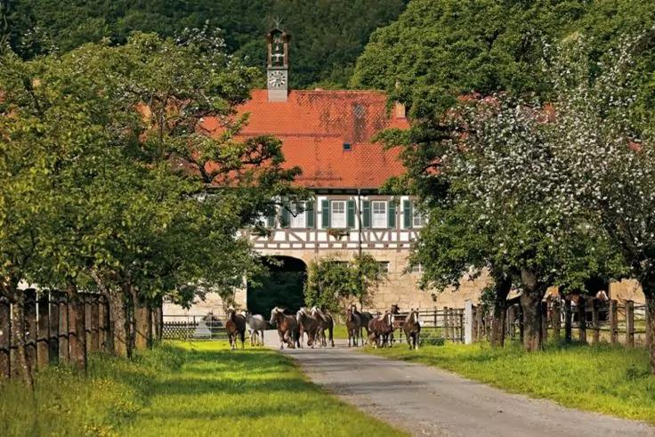 Fachwerkgeb&auml;ude mit rotem Ziegeldach, Baumallee, grasbewachsenem Weg und mehreren Pferden vor einem Torbogen