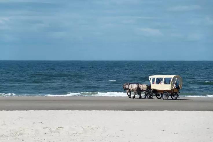 Zwei Pferde neben einem gedeckten Wagen auf dem Sandstrand nahe dem Meer; Sand im Vordergrund, Meer und bewölkter Himmel im Hintergrund