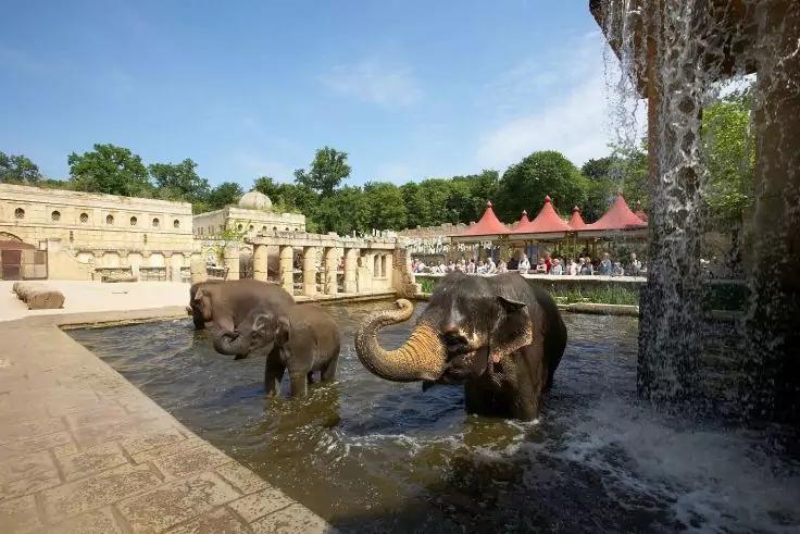 Zwei Elefanten stehen in einem flachen Brunnenbecken, eines mit erhobener Rüsselspitze; rechts fällt Wasser von einer steinernen Kaskade, im Hintergrund Menschen, rote Zelte, Bäume und blauer Himmel