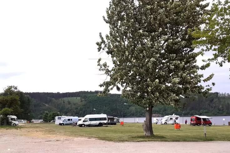 Gro&szlig;er bl&uuml;hender Baum auf einer Wiese vor mehreren am Ufer geparkten Wohnmobilen, See und bewaldete H&uuml;gel im Hintergrund