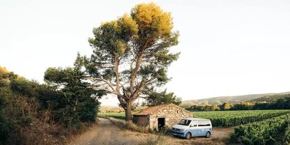 Gro&szlig;er Einzelbaum neben einer Schotterstra&szlig;e, rechts ein Steingeb&auml;ude und ein wei&szlig;er Lieferwagen, im Hintergrund Weinreben und H&uuml;gel