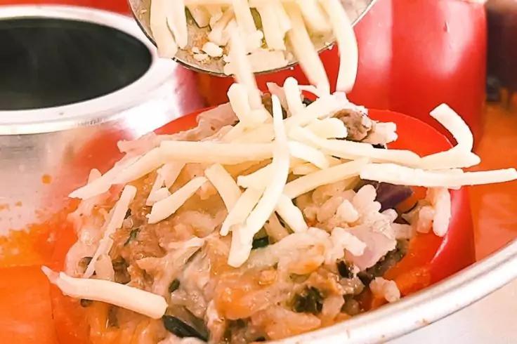 Rote Schale mit einer körnigen braun-beigen Lebensmittelmischung, darüber geriebene weiße Streifen; ein Metalllöffel hält weitere Streifen