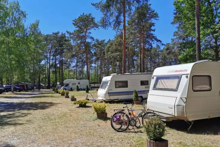 Mehrere Wohnwagen auf einer Lichtung unter hohen Kiefern, zwei Fahrräder und Blumentöpfe im Vordergrund, blauer Himmel