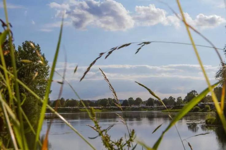 See mit Schilf im Vordergrund, Baumreihe am Ufer, Häuser in der Ferne und blauer Himmel mit Wolken