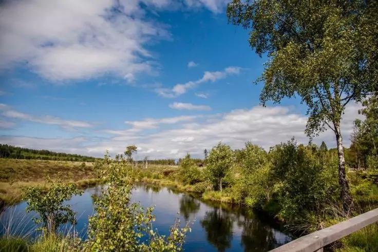 Gew&auml;sser, das den blauen Himmel und Wolken spiegelt; umgeben von B&uuml;schen und B&auml;umen, rechts im Vordergrund ein Holzgel&auml;nder