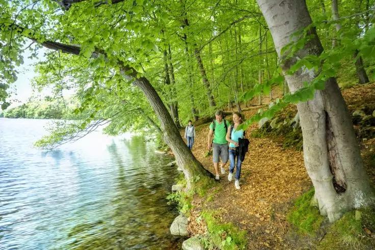 Drei Personen auf einem schmalen Waldpfad am Ufer eines Sees; gr&uuml;ne B&auml;ume und Wasser sichtbar