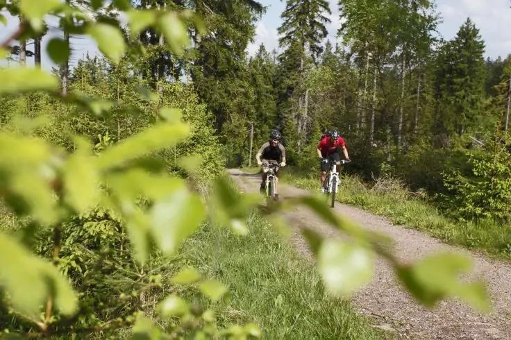 Zwei Radfahrende auf Mountainbikes auf einem Schotterweg in einem Wald, verschwommene Bl&auml;tter im Vordergrund, Nadelb&auml;ume im Hintergrund