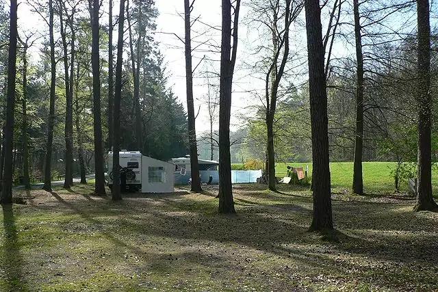 Wald mit B&auml;umen, Wohnmobil und Zelt auf einer Lichtung, See im Hintergrund