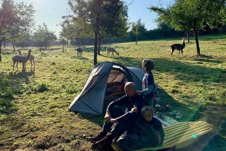 Drei Personen sitzen vor einem kleinen Zelt auf einer Wiese; im Hintergrund stehen mehrere Rehe und B&auml;ume