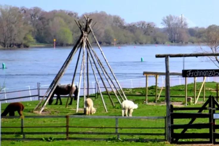Wiese am Flussufer mit Holzzaun, Tipi-artigem Ger&uuml;st aus Holzstangen und f&uuml;nf Schafen