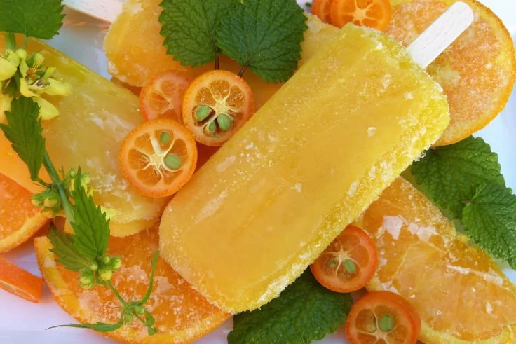 Gelbes Stieleis auf Orangenscheiben, halbierten Kumquats, gr&uuml;nen Minzbl&auml;ttern und Eiskristallen