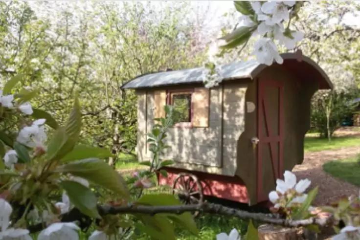 H&ouml;lzerner Wagen auf R&auml;dern mit Fenster und T&uuml;r, umgeben von bl&uuml;henden Obstb&auml;umen