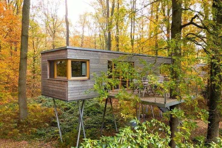 Rechteckiges Holzgeb&auml;ude auf Metallst&uuml;tzen zwischen B&auml;umen, kleine Terrasse mit Tisch und St&uuml;hlen, herbstlicher Wald