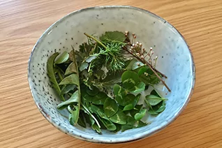 Hellblaue, gesprenkelte Keramikschale auf Holz mit verschiedenen gr&uuml;nen Bl&auml;ttern und kleinen Zweigen