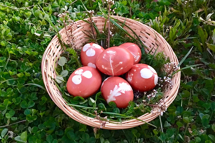 Geflochtener Korb mit f&uuml;nf rot gef&auml;rbten Eiern mit wei&szlig;en Mustern, auf Klee und Gras, mit gr&uuml;nen Bl&auml;ttern und kleinen rosa Bl&uuml;tenzweigen