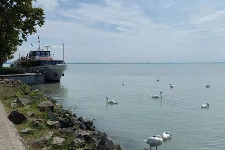 Ufer mit angelegtem Passagierschiff links, Felsen und Weg am Ufer, mehrere Schw&auml;ne im See, bew&ouml;lkter Himmel