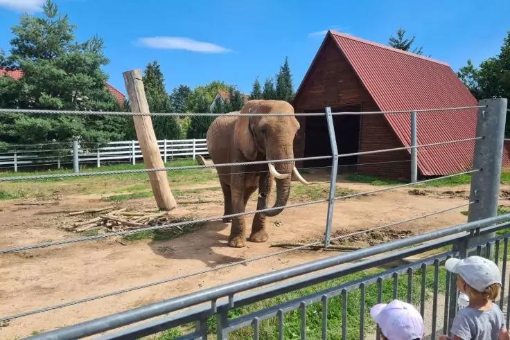 Elefant steht auf sandigem Boden in einer eingez&auml;unten Anlage mit Holzpfosten und einem Schuppen mit rotem Dach; Metallgel&auml;nder und zwei Personen mit H&uuml;ten im Vordergrund