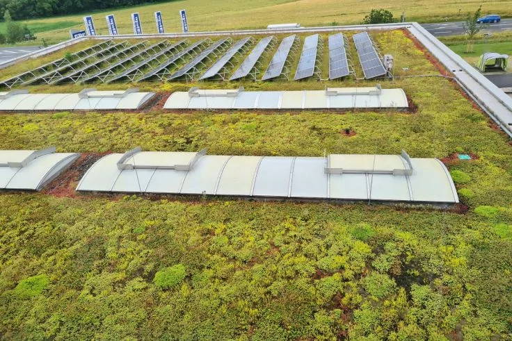 Gr&uuml;ndach mit dichter Vegetation, mehreren gebogenen Lichtkuppeln und in Reihen angeordneten Solarmodulen; im Hintergrund Felder und ein schmaler Weg