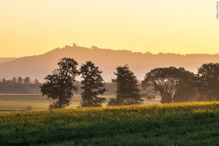 Gr&uuml;ne Felder im Vordergrund, einzelne B&auml;ume in der Mitte, nebliger H&uuml;gel mit Geb&auml;udesilhouette im Hintergrund bei gelbem Himmel