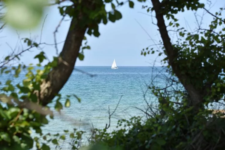 Wei&szlig;es Segelboot auf offenem Meer, im Vordergrund von B&auml;umen und Bl&auml;ttern eingerahmt