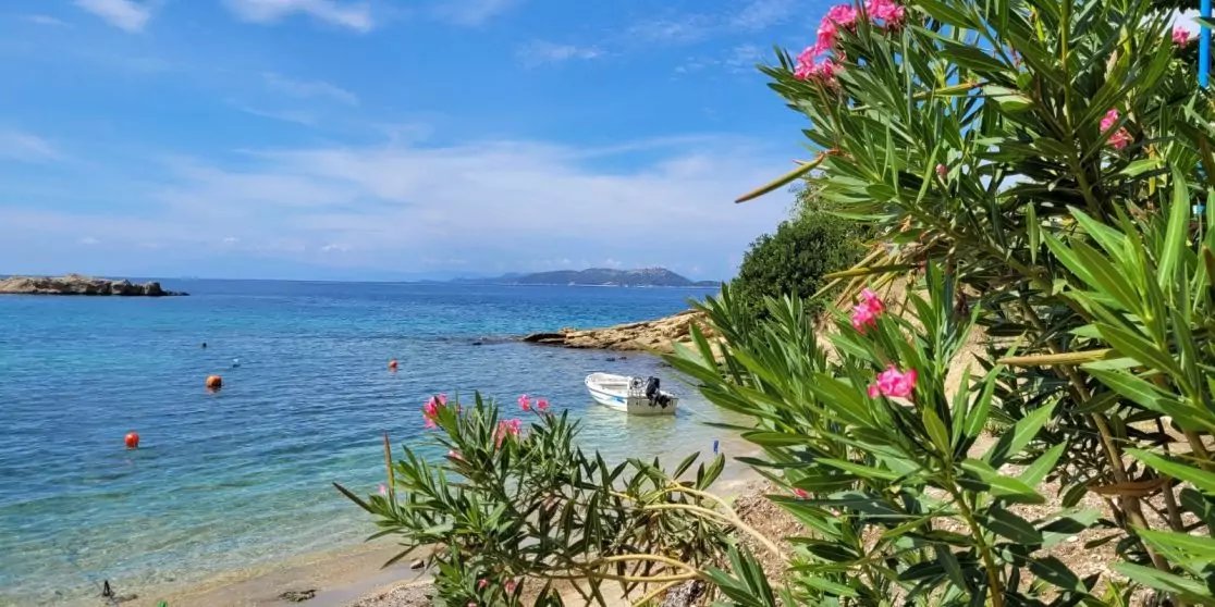Strand mit klarem blauem Meer, einem kleinen Boot im Wasser, sandigem Ufer, schwimmenden Bojen und einem bl&uuml;henden Strauch mit rosa Blumen im Vordergrund